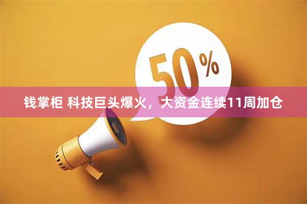 钱掌柜 科技巨头爆火，大资金连续11周加仓