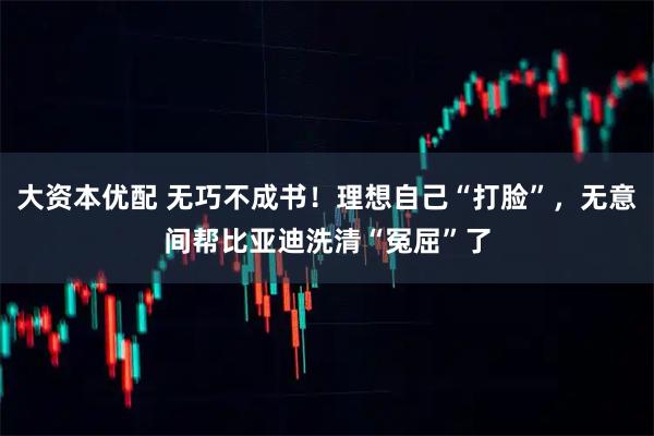 大资本优配 无巧不成书！理想自己“打脸”，无意间帮比亚迪洗清“冤屈”了