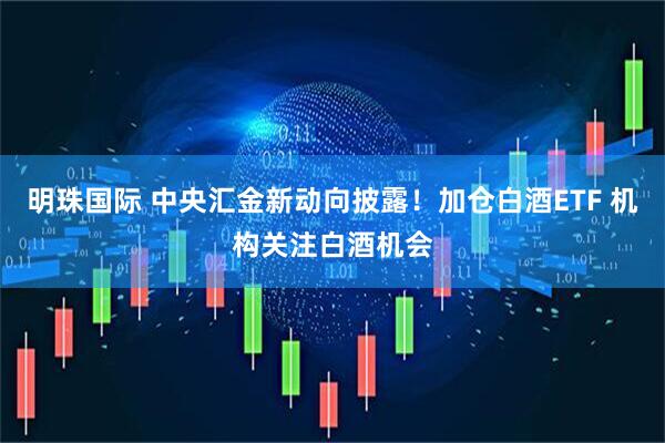 明珠国际 中央汇金新动向披露！加仓白酒ETF 机构关注白酒机会