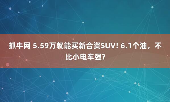 抓牛网 5.59万就能买新合资SUV! 6.1个油，不比小电车强?