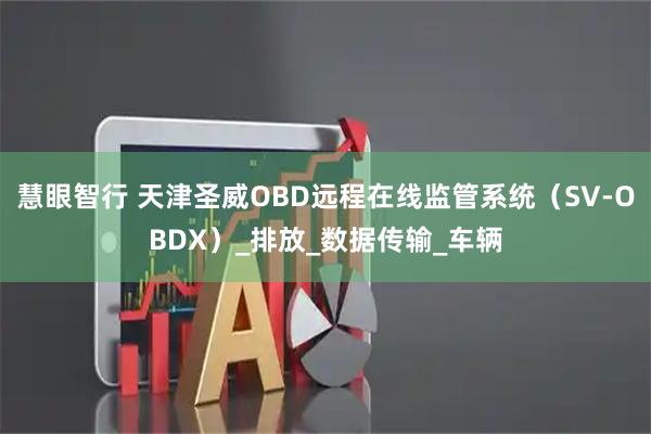 慧眼智行 天津圣威OBD远程在线监管系统（SV-OBDX）_排放_数据传输_车辆